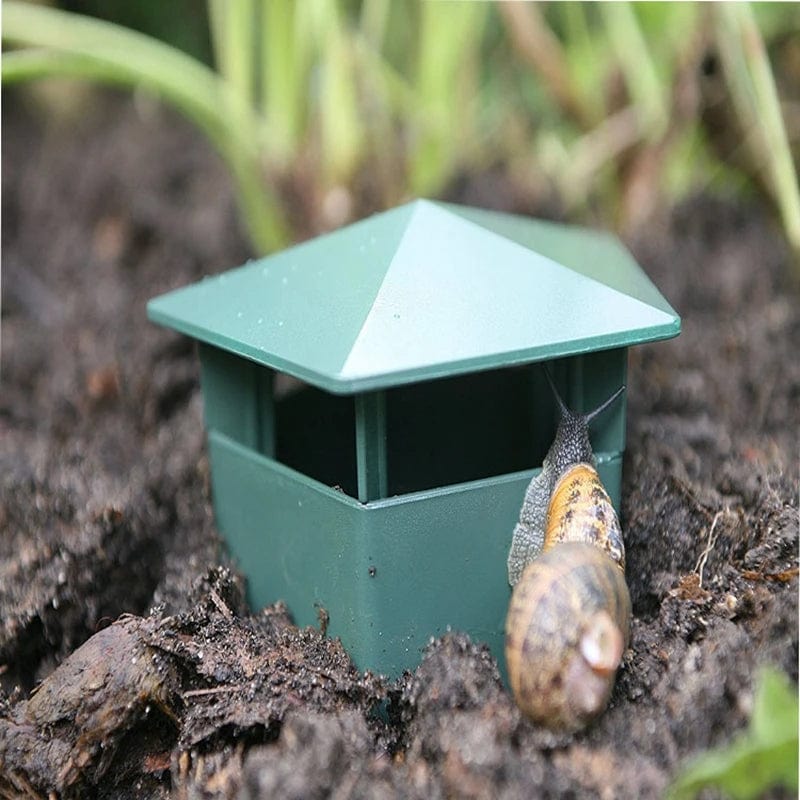 Piège écologique pour limaces et escargots