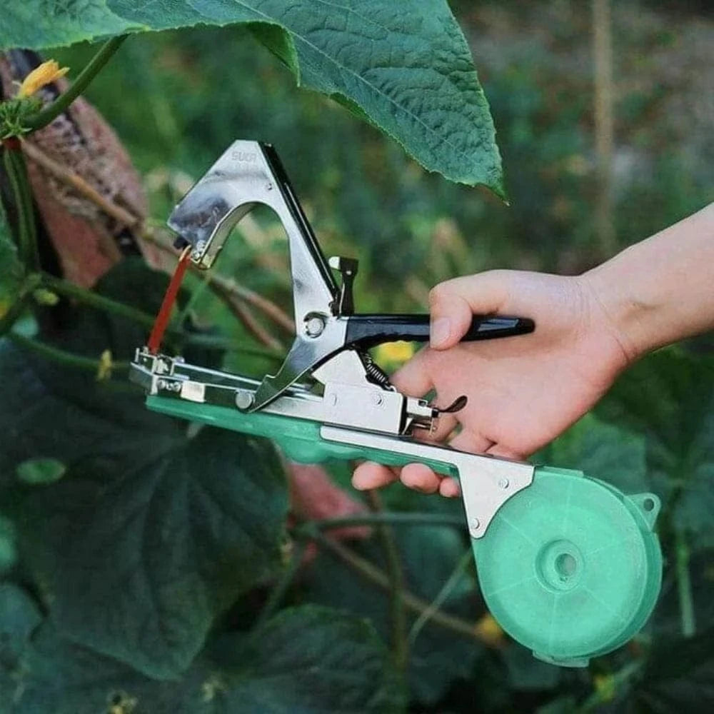 Attache branche Révolutionnaire