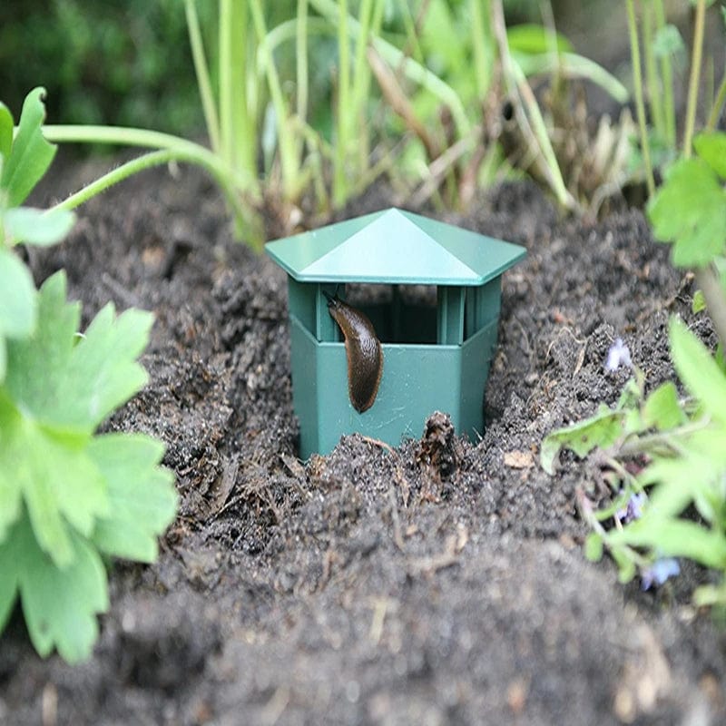 Piège écologique pour limaces et escargots