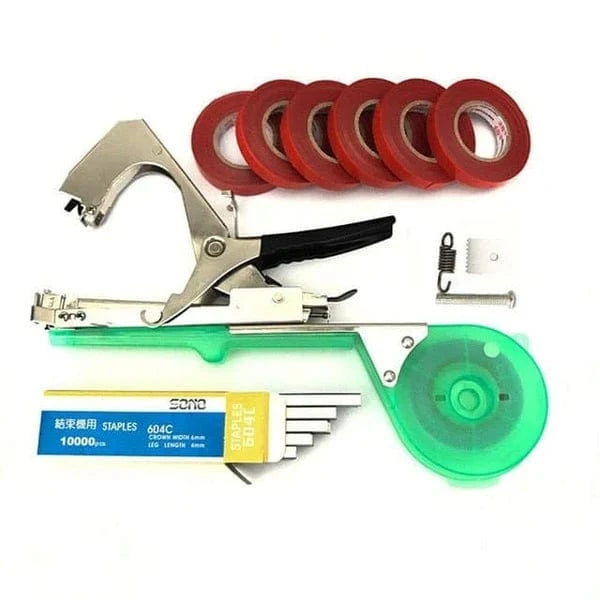 Attache branche Révolutionnaire