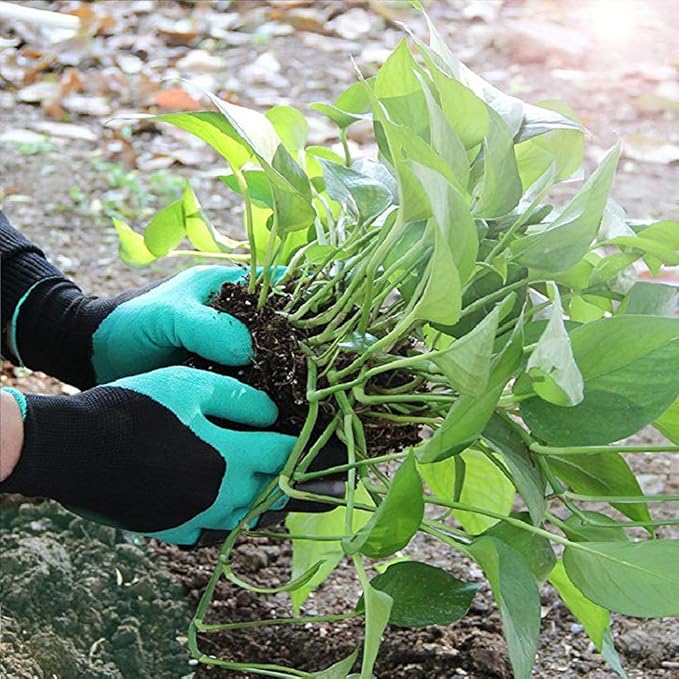 Gants de jardinage