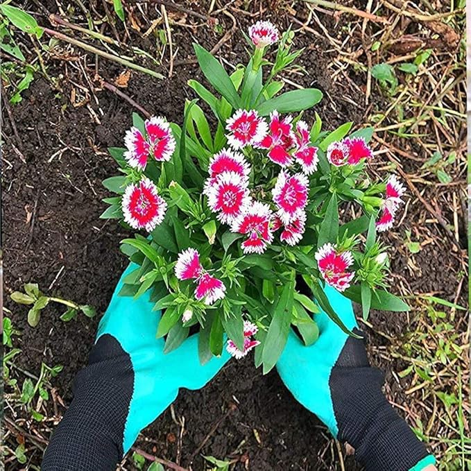 Gants de jardinage
