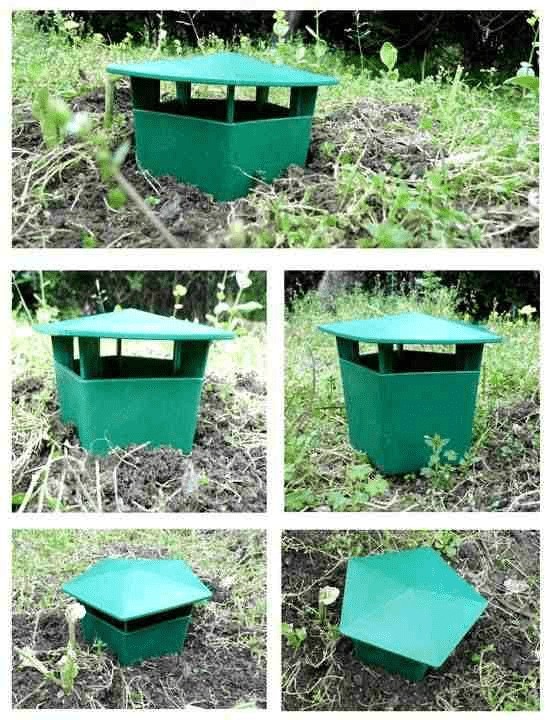 Piège écologique pour limaces et escargots