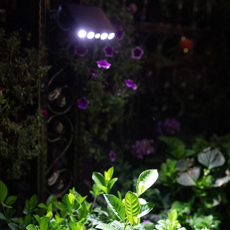 Solar wall lamp