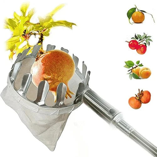 Cueilleur de Fruits Télescopique
