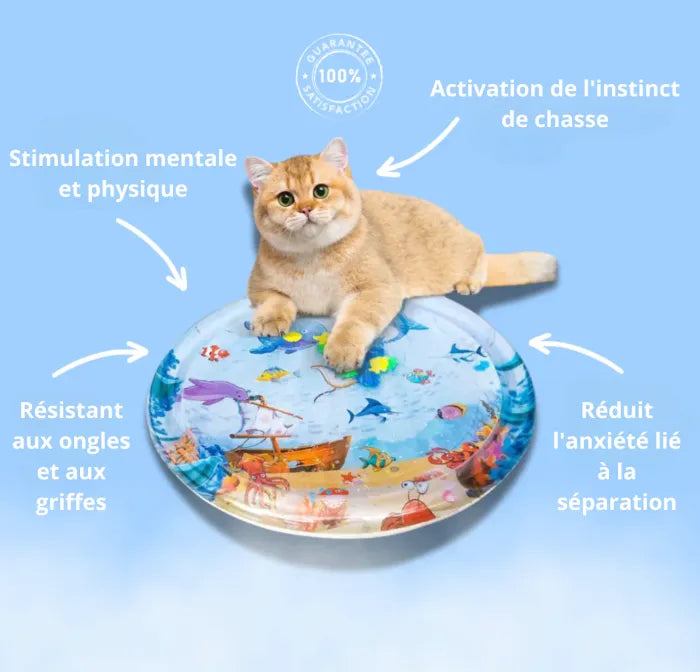 Tapis d’Eau Sensoriel pour Chats