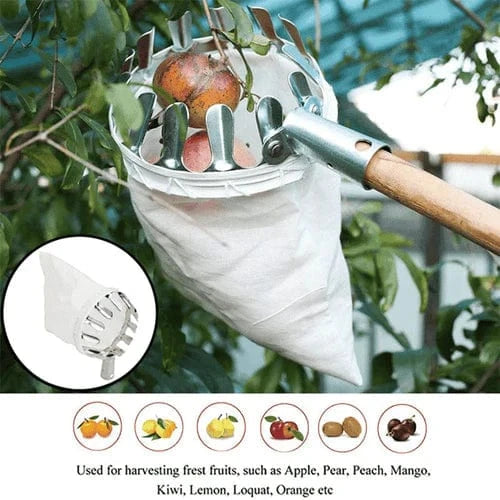 Cueilleur de Fruits Télescopique
