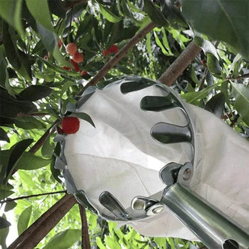 Cueilleur de Fruits Télescopique