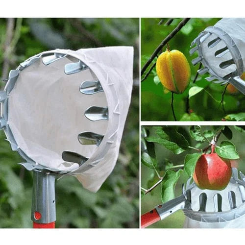 Cueilleur de Fruits Télescopique