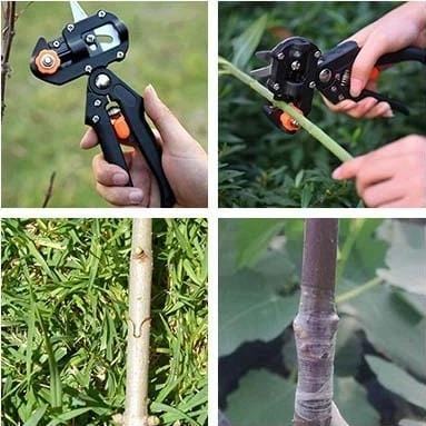 Professional Grafting Scissors