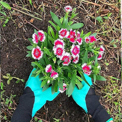 Gants de jardinage