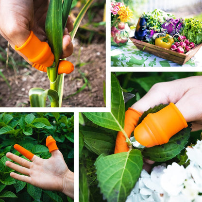 Couteau de récolte de légumes