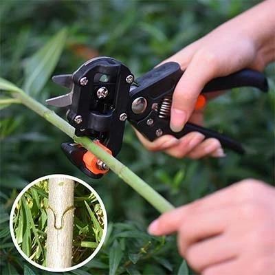Professional Grafting Scissors