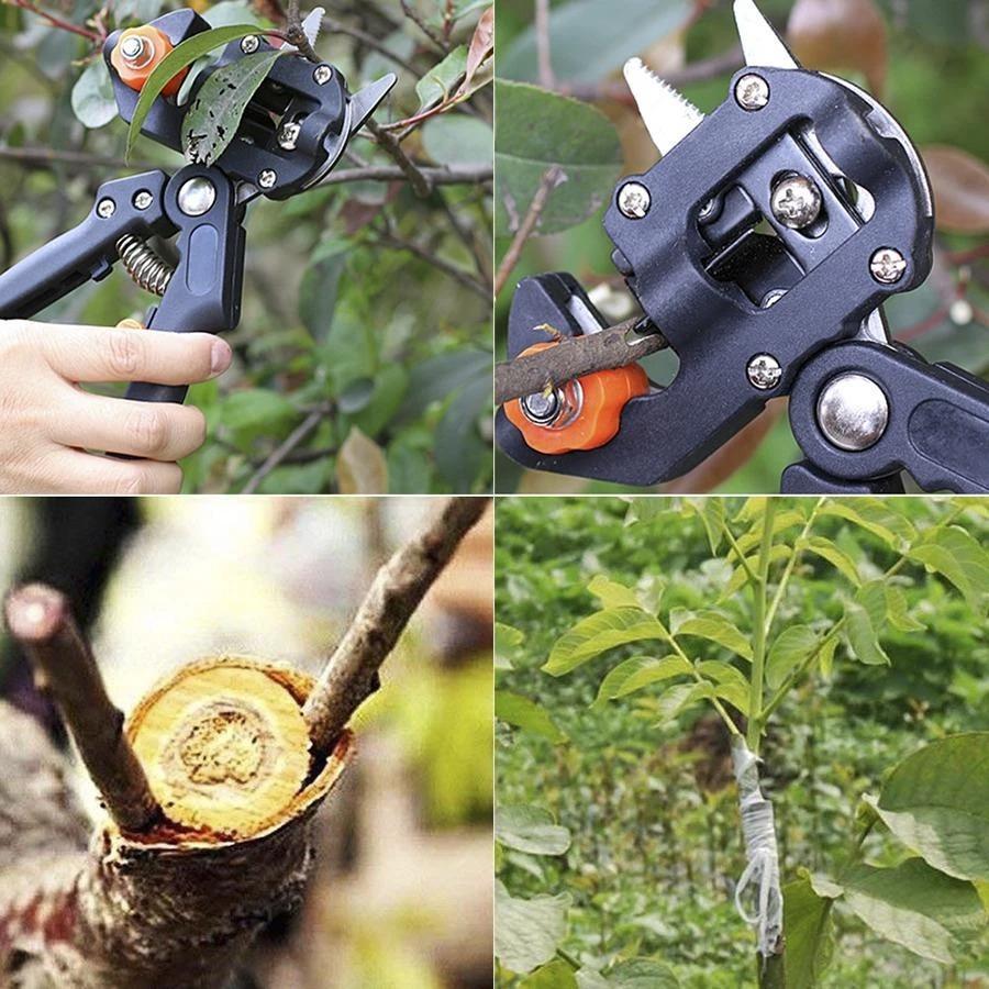Professional Grafting Scissors