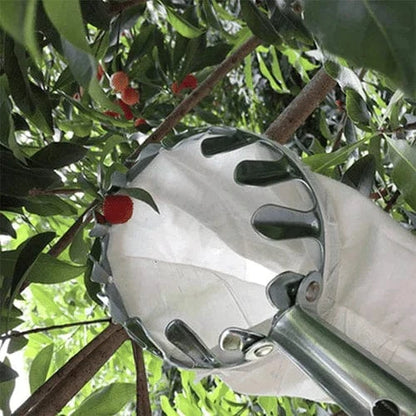 Cueilleur de Fruits Télescopique